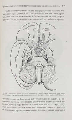 Бехтерев В.М. Проводящие пути спинного и головного мозга. Руководство к изучению внутренних связей мозга. Ч. 2. 1898.